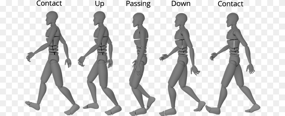 Walk Cycle Chart Walking Blender Pose Step, Baby, Person, Dancing, Head Free Transparent Png