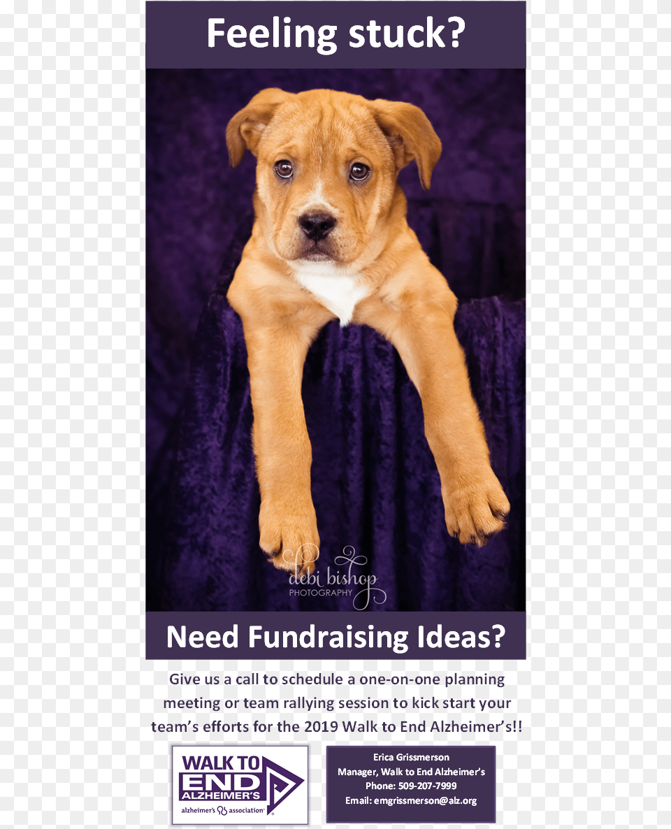 Walk To End Alzheimer39s 2011, Advertisement, Poster, Animal, Canine Free Transparent Png