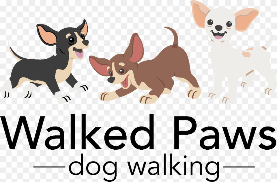 Walked Paws 22h, Animal, Canine, Chihuahua, Dog Free Png Download