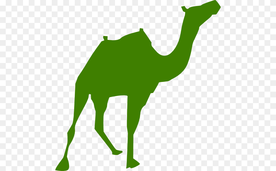 Walking Camel Silhouette Clip Art, Animal, Mammal, Wildlife, Zebra Png