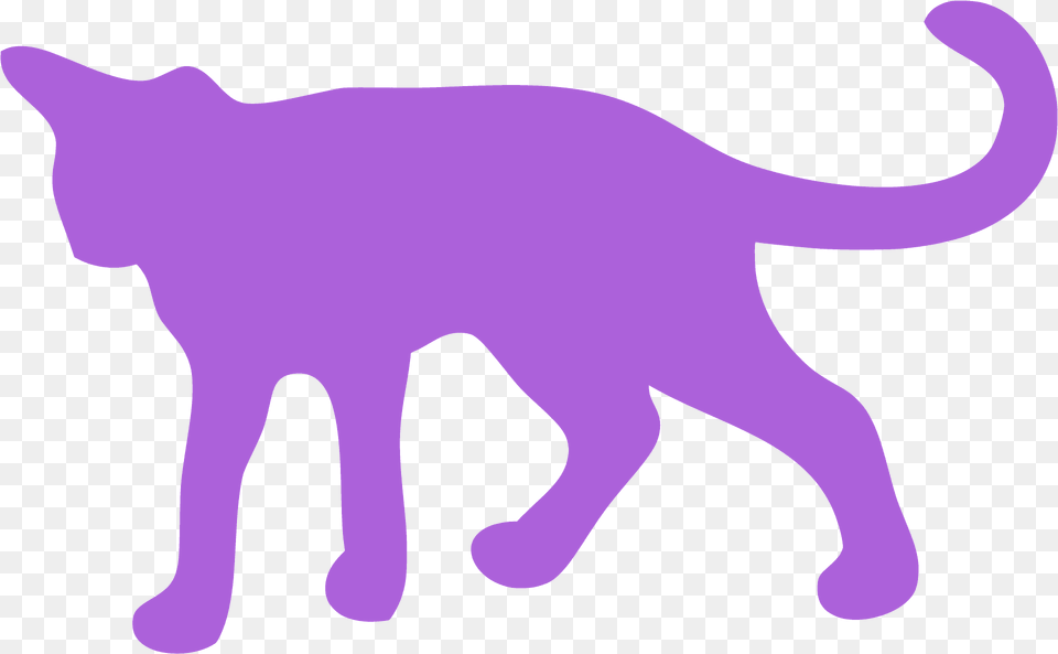 Walking Cat Silhouette, Animal, Mammal, Pet, Bear Png