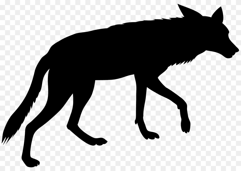 Walking Coyote Silhouette, Animal, Mammal, Wolf, Canine Png