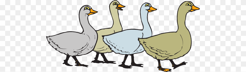 Walking Dog Clip Art, Animal, Bird, Goose, Waterfowl Free Png Download