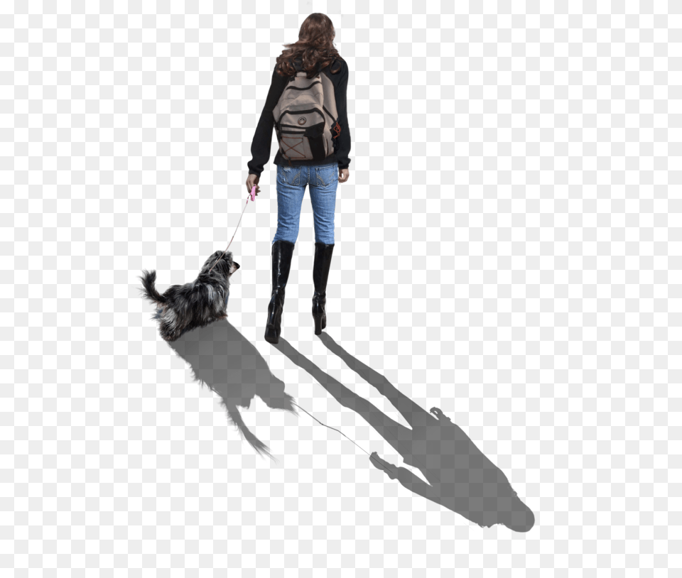 Walking Dog Companion Dog, Person, Pants, Clothing, Accessories Png Image