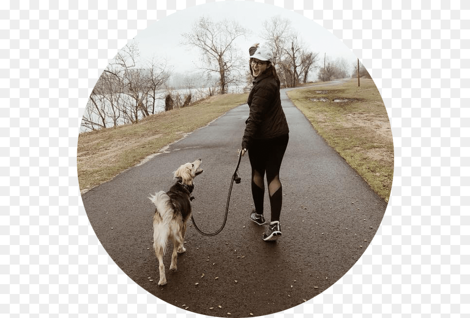 Walking Dog Walking, Animal, Pet, Person, Mammal Png Image
