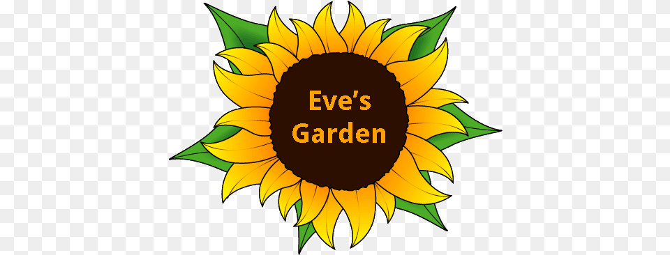 Walking History Tour Of Marathon Eveu0027s Garden Bed And Sunflower, Flower, Plant, Person, Face Free Transparent Png