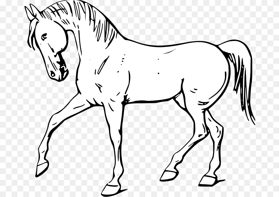 Walking Horse Outline Svg Clip Arts Horse In Black And White, Adult, Person, Woman, Female Png Image