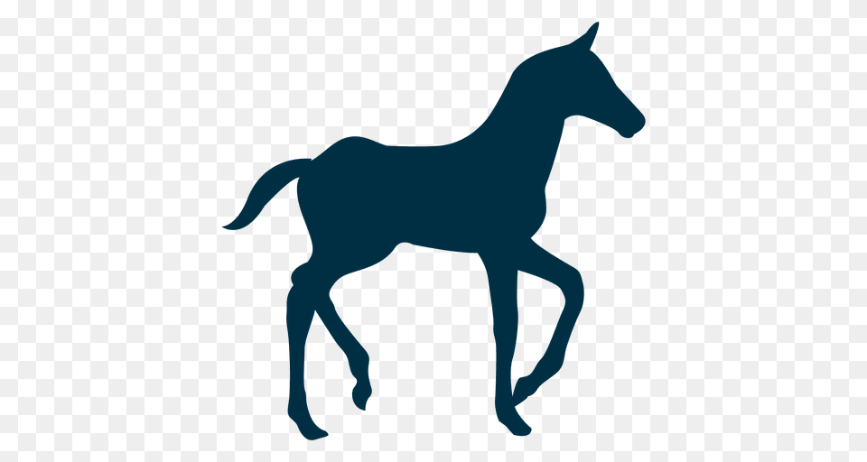 Walking Horse Silhouette, Animal, Colt Horse, Mammal, Foal Free Png Download