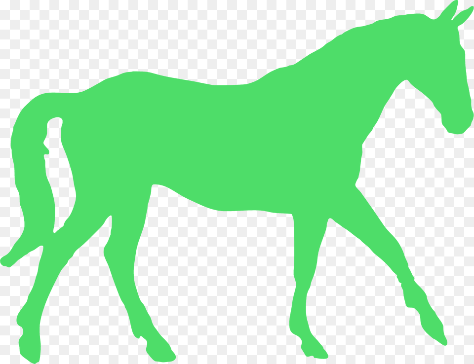Walking Horse Silhouette, Animal, Colt Horse, Mammal, Foal Free Png