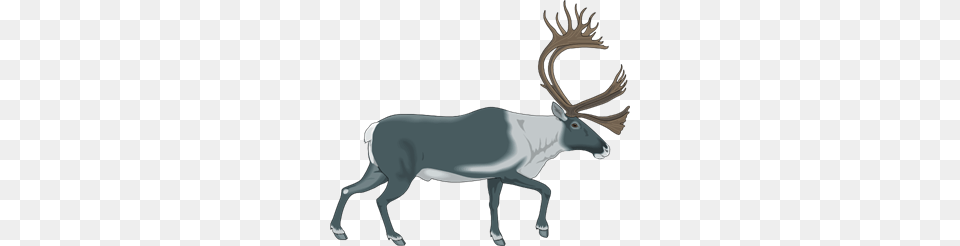 Walking Moose Clip Art For Web, Animal, Deer, Mammal, Wildlife Free Transparent Png