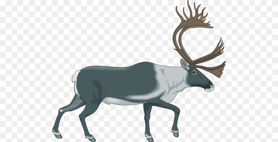 Walking Moose Svg Clip Arts 600 X 492 Px, Animal, Deer, Mammal, Wildlife Free Transparent Png