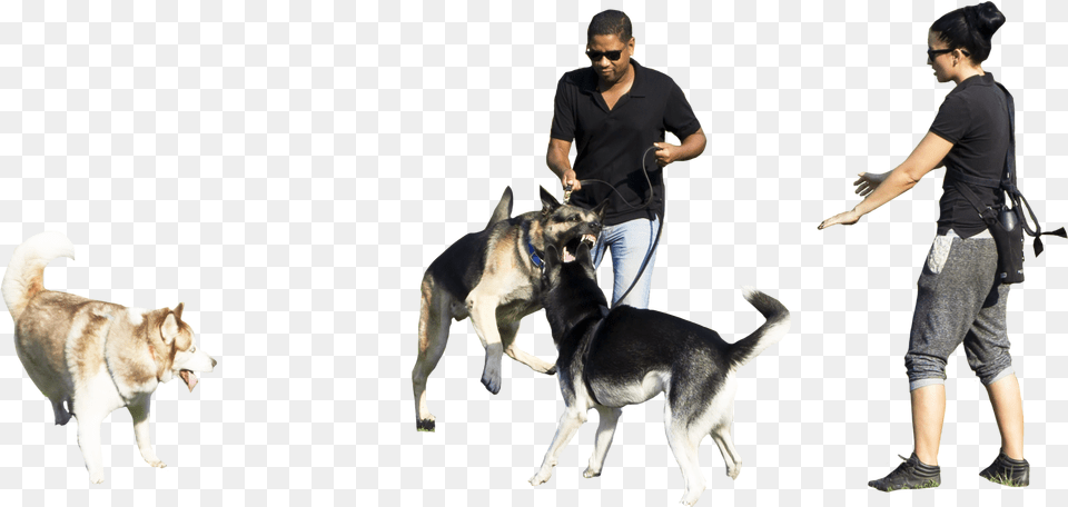 Walking Park Dog Dogs Hq People With Dog, Adult, Pet, Person, Man Free Transparent Png