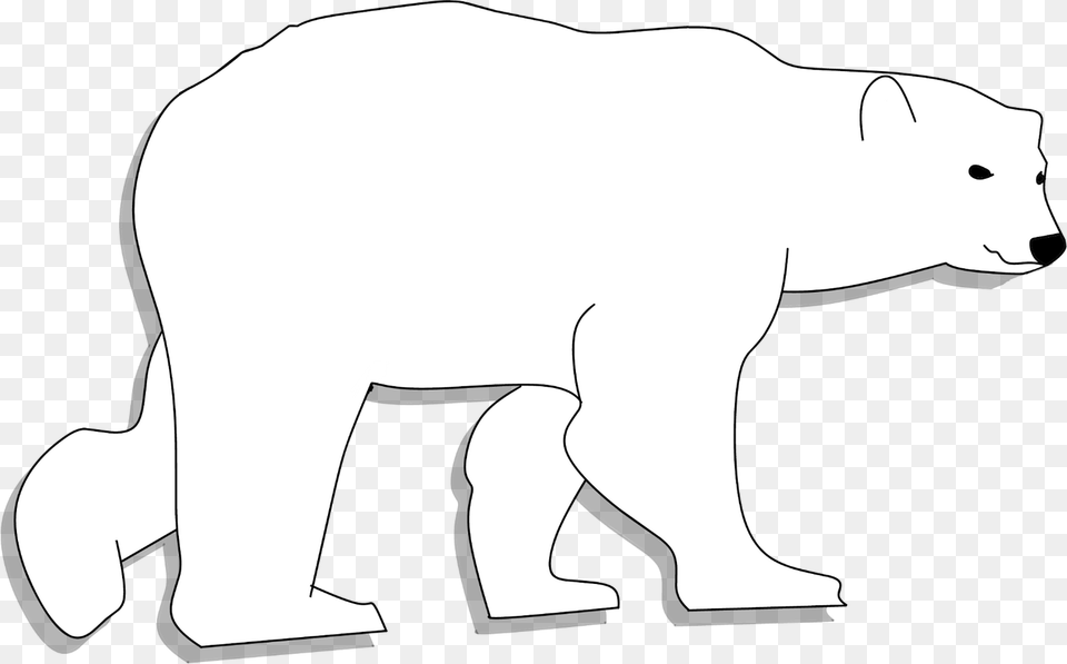 Walking Polar Bear Clipart, Animal, Wildlife, Mammal, Kangaroo Free Png