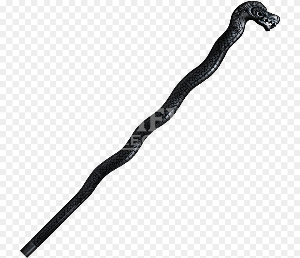 Walking Stick File Honshu Wakizashi Sword, Animal, Reptile, Snake, Cane Png Image