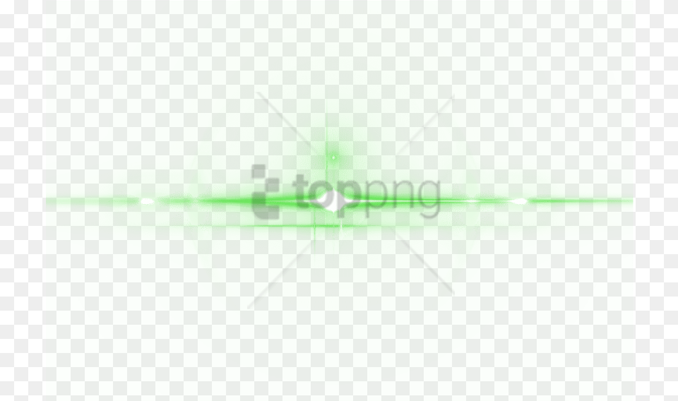 Walking Stick Insect, Flare, Green, Light, Art Png Image