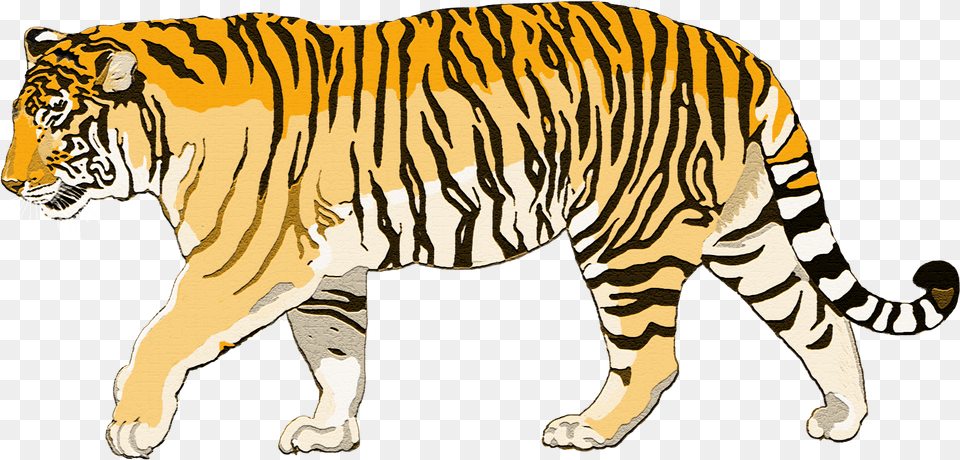 Walking Tiger Photo Siberian Tiger Clipart, Animal, Mammal, Wildlife, Zebra Free Png Download