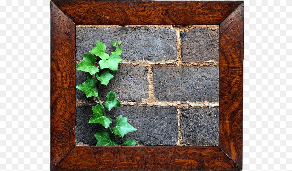Wall, Brick, Leaf, Plant, Ivy Free Png Download
