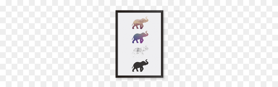 Wall Art, Animal, Elephant, Mammal, Wildlife Png