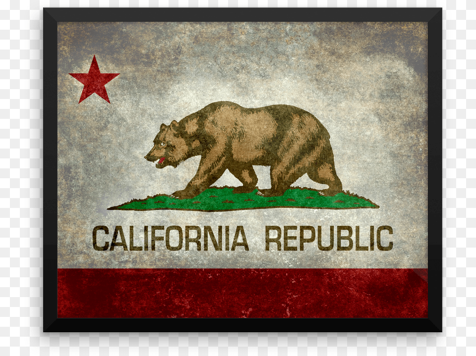 Wall Art California State Flag State Flag Of California, Animal, Bear, Mammal, Wildlife Free Png