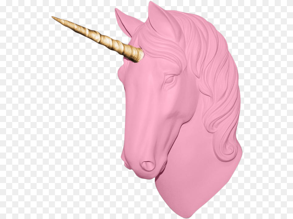 Wall Charmers The Luna Unicorn, Adult, Male, Man, Person Free Png