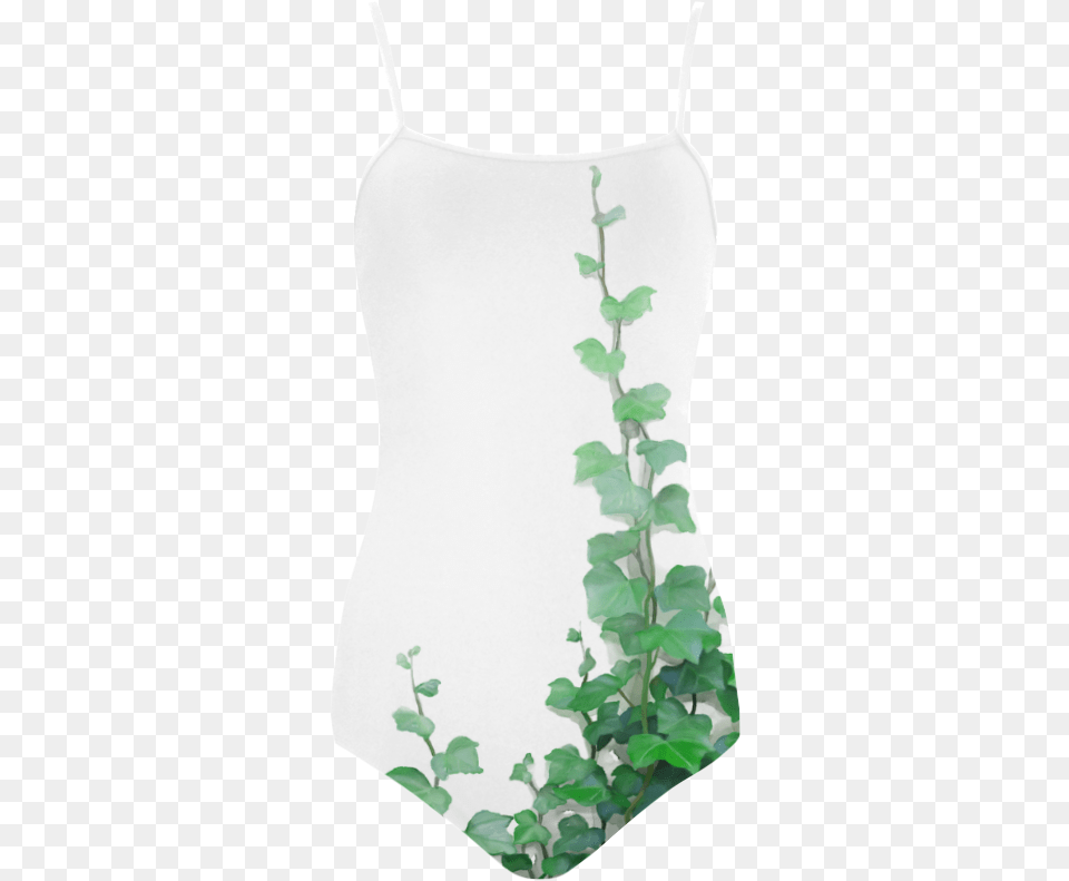 Wall Climbers Plants, Leaf, Plant, Vine Free Png Download