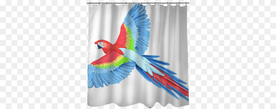 Wall Decal, Animal, Bird, Macaw, Parrot Png Image