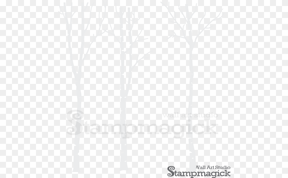 Wall Decal, Plant, Tree, Art, Birch Free Transparent Png