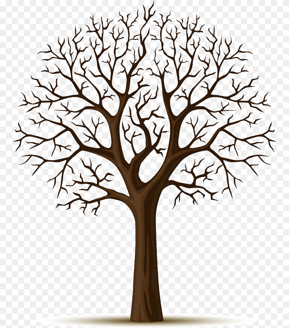 Wall Decal Tree Sticker Apple Tree Nar Aac, Plant, Tree Trunk, Wood Free Transparent Png