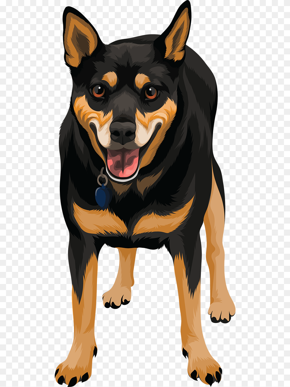 Wall E Lee Rottweiler, Animal, Canine, Mammal, Dog Free Png Download