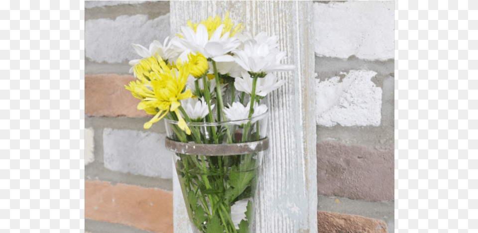 Wall Mounted Rustic Flower Holder Vase Mural, Flower Arrangement, Flower Bouquet, Plant, Daisy Free Png Download