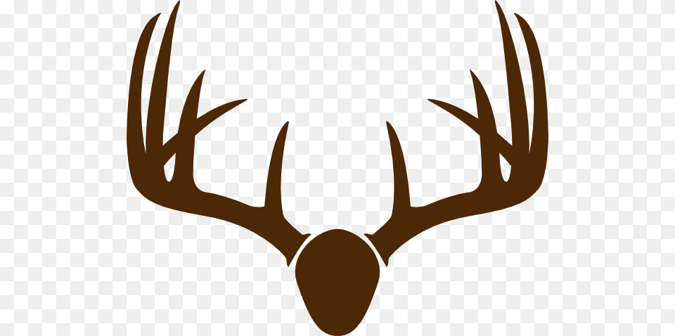 Wall Mounted Stags Head, Antler, Animal, Fish, Sea Life Free Transparent Png