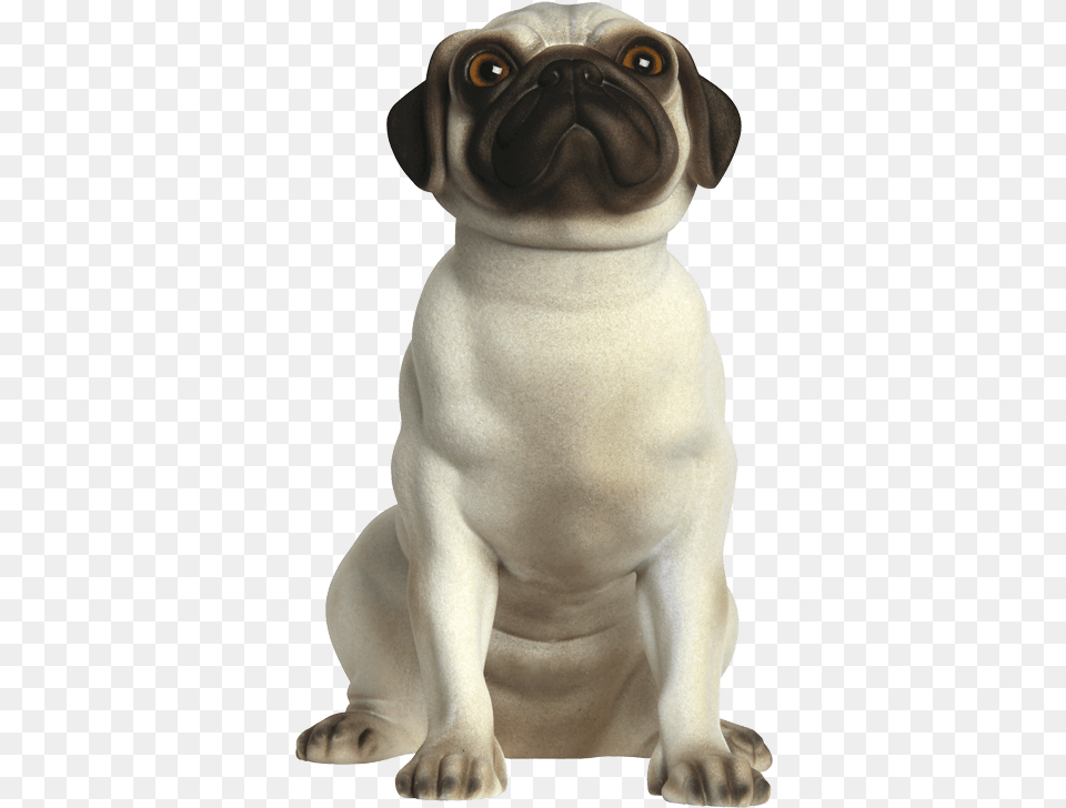 Wallacerealistic Front Pug, Animal, Bear, Canine, Mammal Png