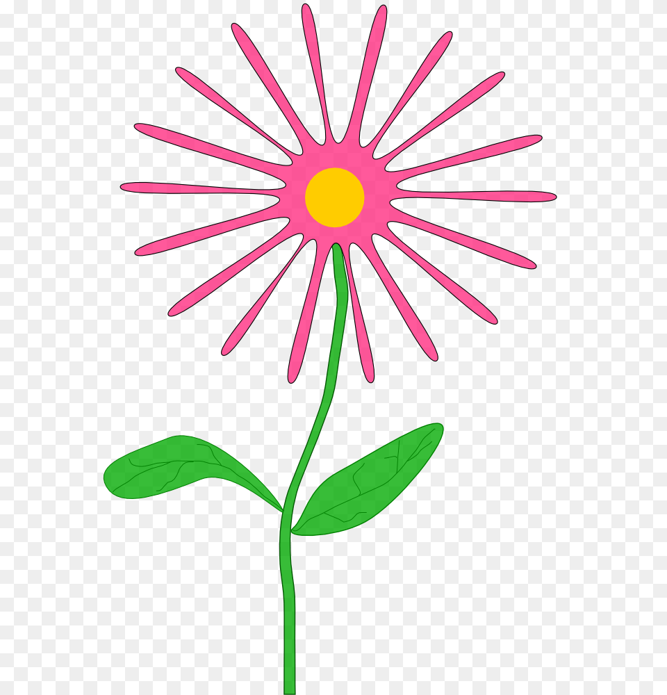 Wallet Clip Art, Daisy, Flower, Plant, Petal Png Image