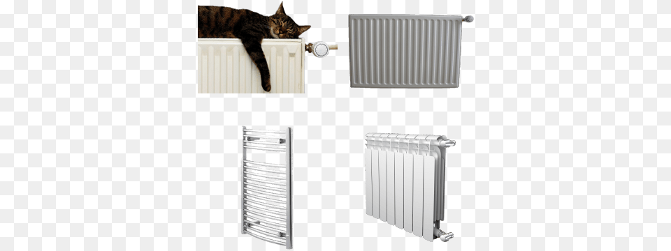 Wallmonkeys A Tiger Tabby Cat Relaxing W X, Appliance, Device, Electrical Device, Animal Free Png Download