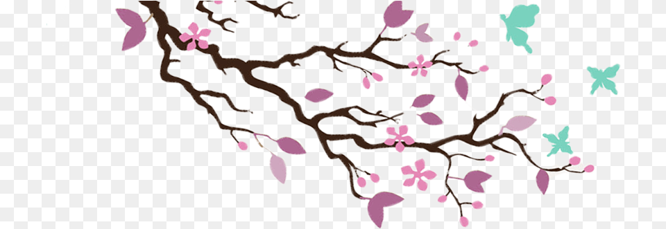 Wallpaper, Flower, Plant, Petal, Cherry Blossom Free Transparent Png