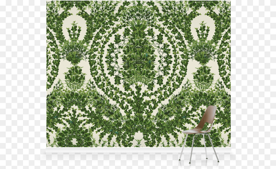 Wallpaper, Chair, Furniture, Leaf, Plant Free Png