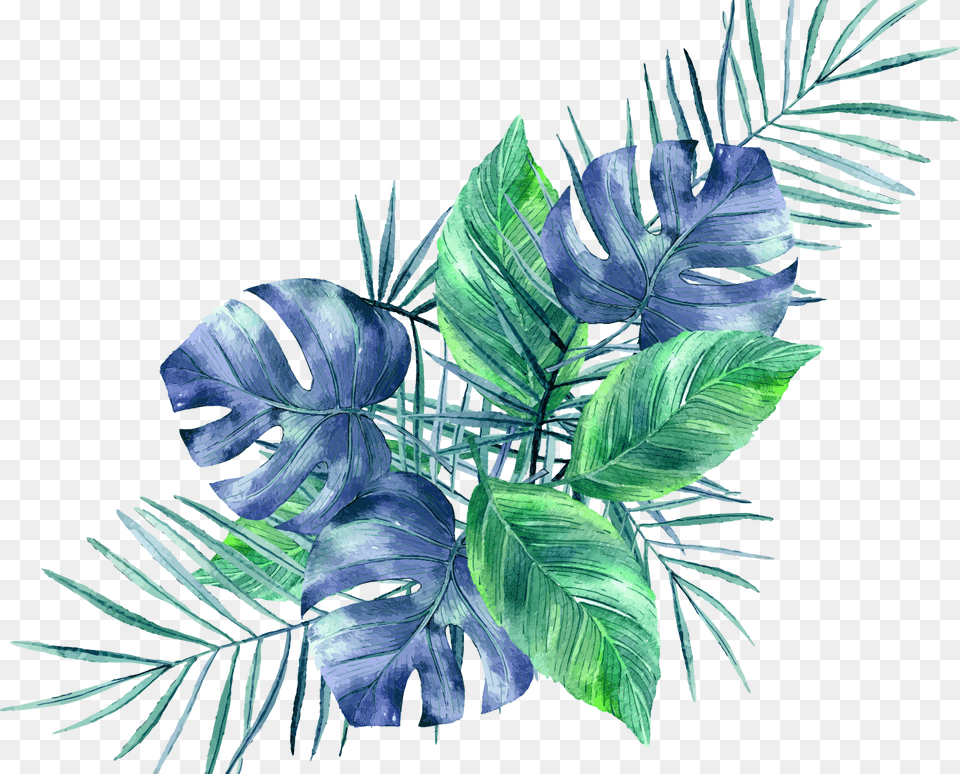 Wallpaper, Leaf, Plant, Art, Graphics Png Image