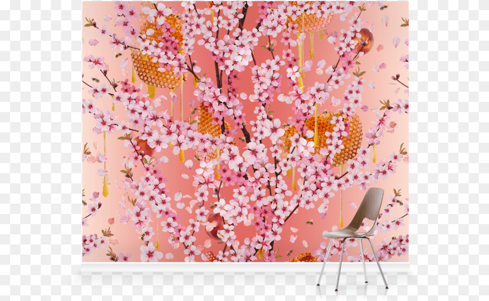 Wallpaper, Flower, Plant, Cherry Blossom, Chair Png Image