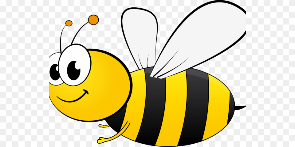 Wallpaper Clipart, Animal, Bee, Honey Bee, Insect Png Image