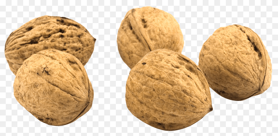 Walnut, Food, Nut, Plant, Produce Png Image