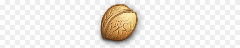 Walnut, Food, Nut, Plant, Produce Free Transparent Png