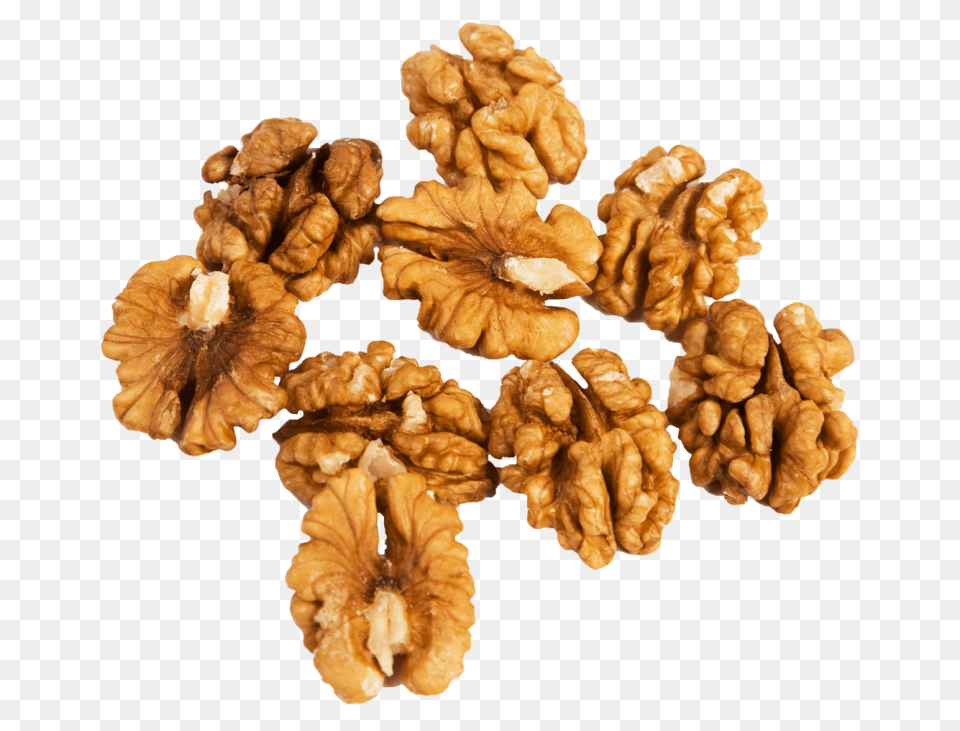 Walnut, Food, Nut, Plant, Produce Png Image