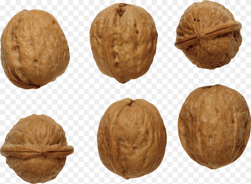 Walnut Png