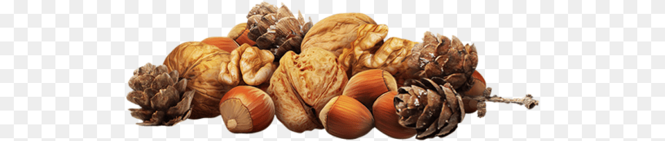 Walnut, Food, Nut, Plant, Produce Free Png