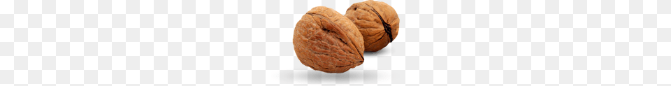 Walnut, Food, Nut, Plant, Produce Png Image