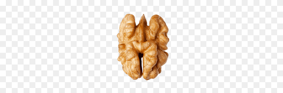 Walnut, Food, Nut, Plant, Produce Free Png