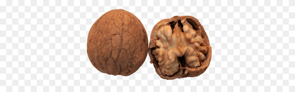 Walnut, Nut, Food, Vegetable, Produce Free Png Download