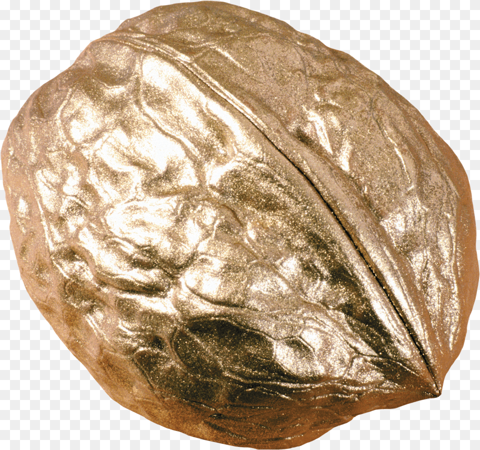 Walnut Free Png