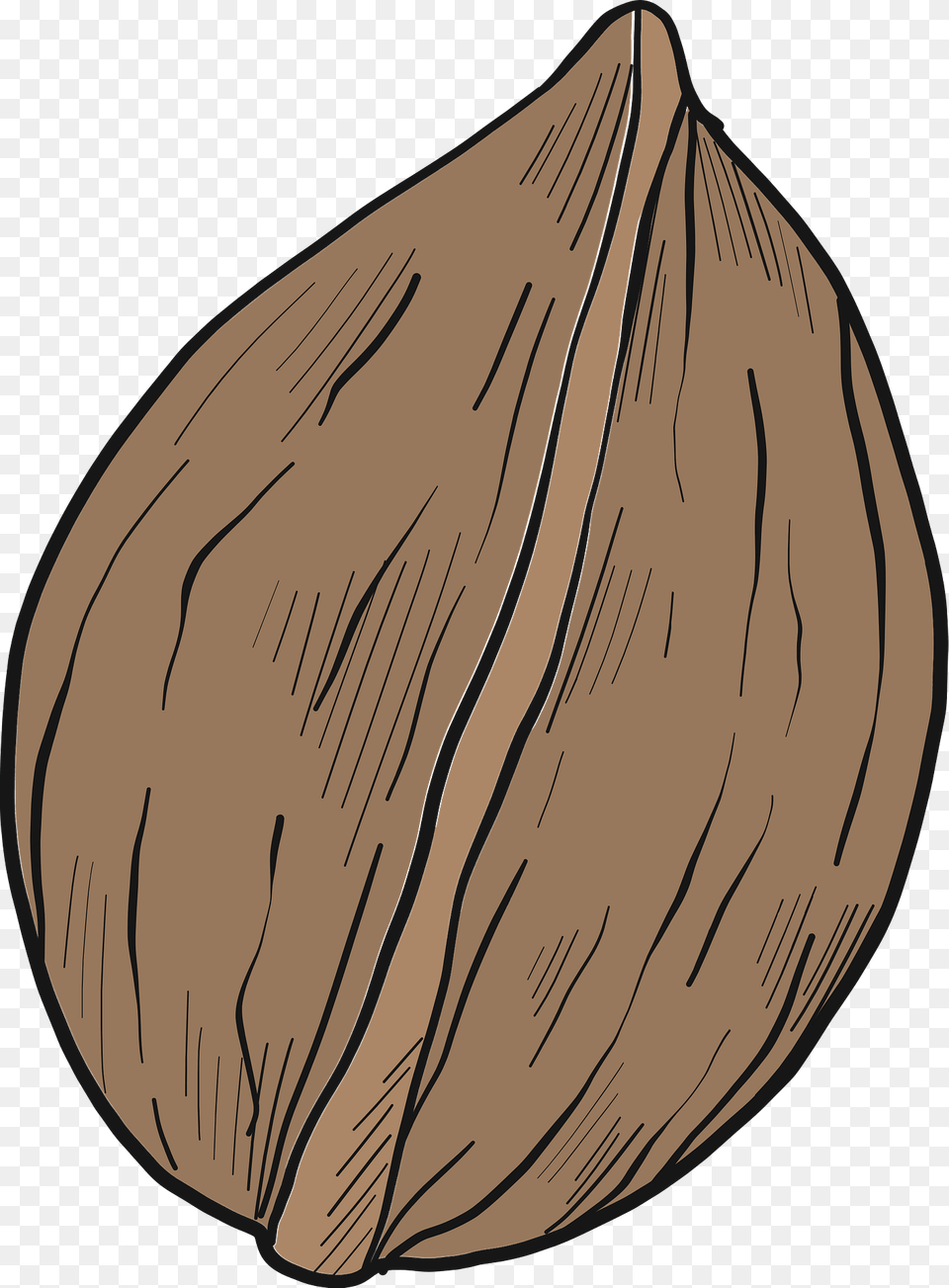 Walnut Clipart, Food, Produce, Plant, Vegetable Free Transparent Png