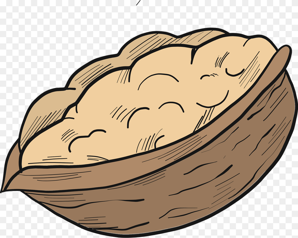 Walnut Clipart, Food, Nut, Plant, Produce Free Png